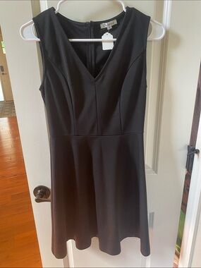 Zalabs Black Sleeveless V-Neck Fit & Flare Dress